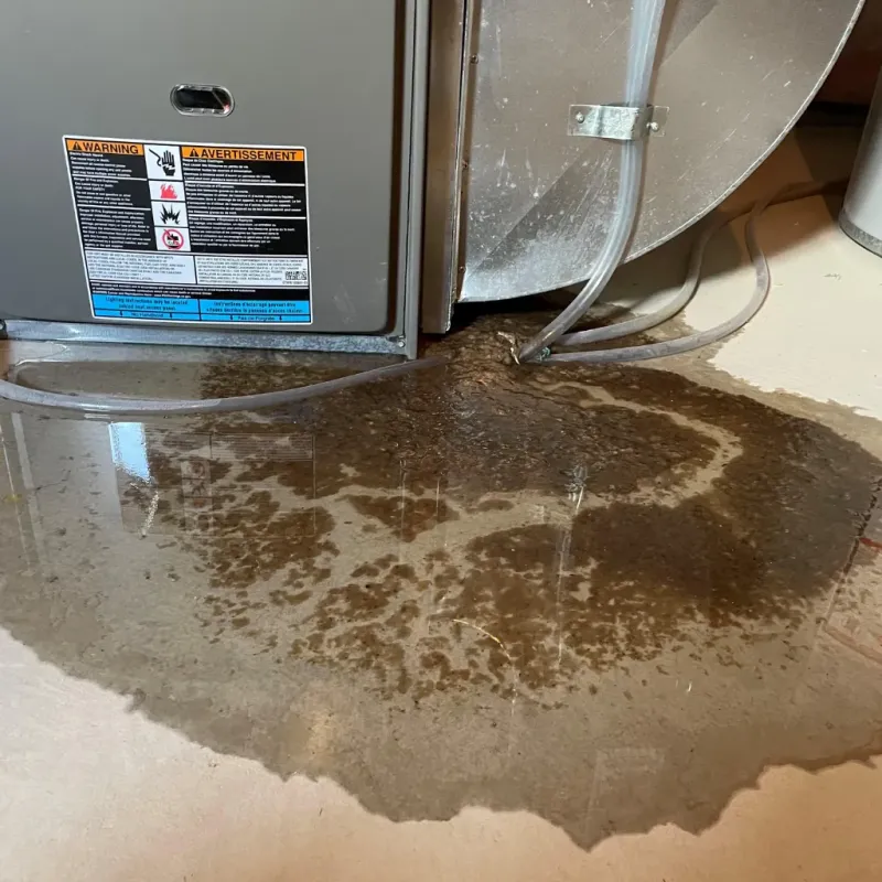 Appliance Leak Cleanup in Medford, OK